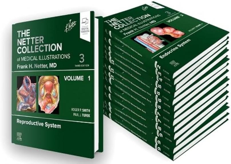 مجموعه کتاب های سبز Netter: هر جلدی که بخواهیدمی توانید به صورت تکی تهیه کنید - آناتومی