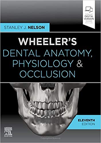 آناتومی ، فیزیولوژی و انسداد دندان ویلر - دندانپزشکی