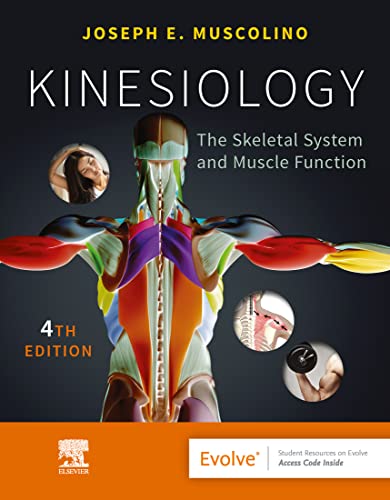 Kinesiology: The Skeletal System and Muscle Function 2024 - اورتوپدی