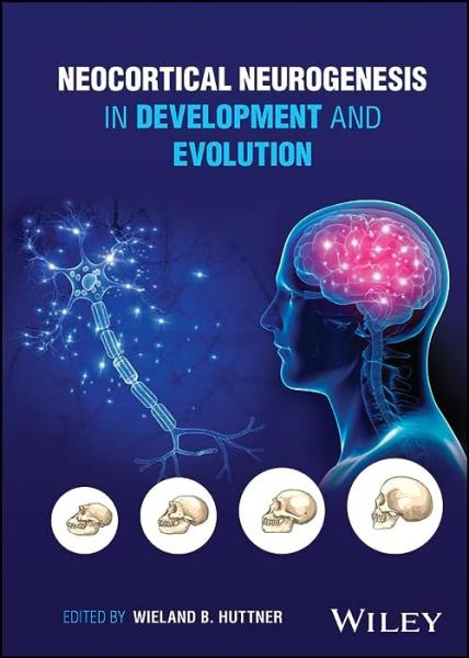 نوروژنز نئوکورتیکال در توسعه و تکامل - نورولوژی