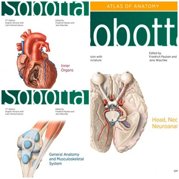 دوره 3 جلدی Sobotta Atlas of Anatomy(Vol. 3،Vol. 2،Vol.1) - آزمون های امریکا Step 1